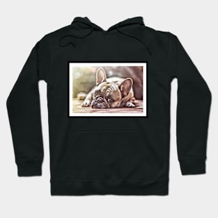 Pug Mug Hoodie